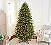 Bethlehem Lights 6.5' Upswept Spruce Tree