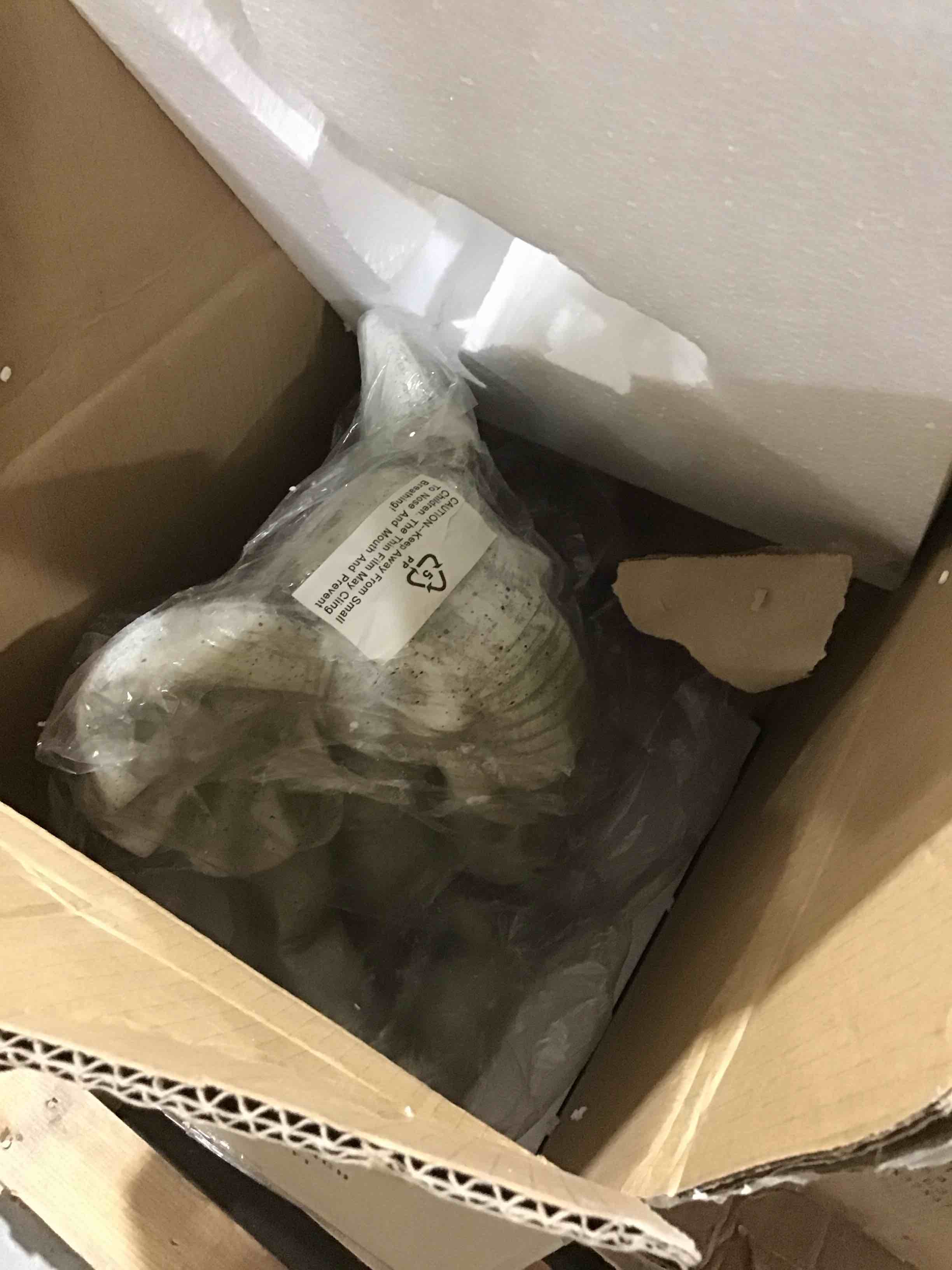https://s3.amazonaws.com/lotting-images-prod/bidfta/GRN6325456_1714564421956.jpeg