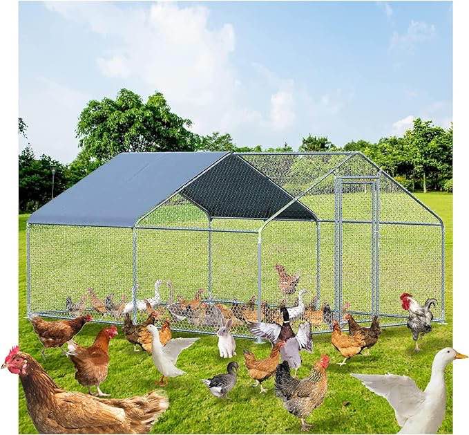 Belinova Chicken Run Spire 2 Rooms, Large Metal Chicken Coops for 20 Chickens