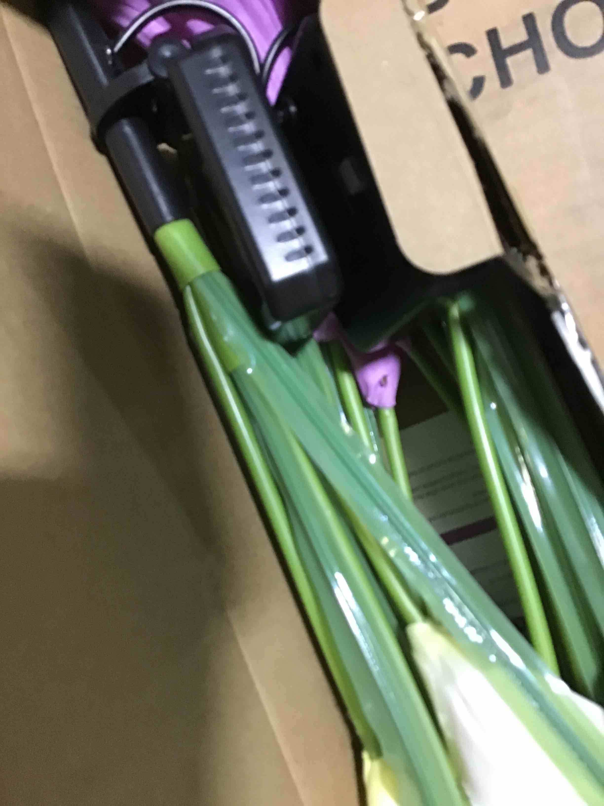 https://s3.amazonaws.com/lotting-images-prod/bidfta/GRN6326082_1715025534108.jpeg