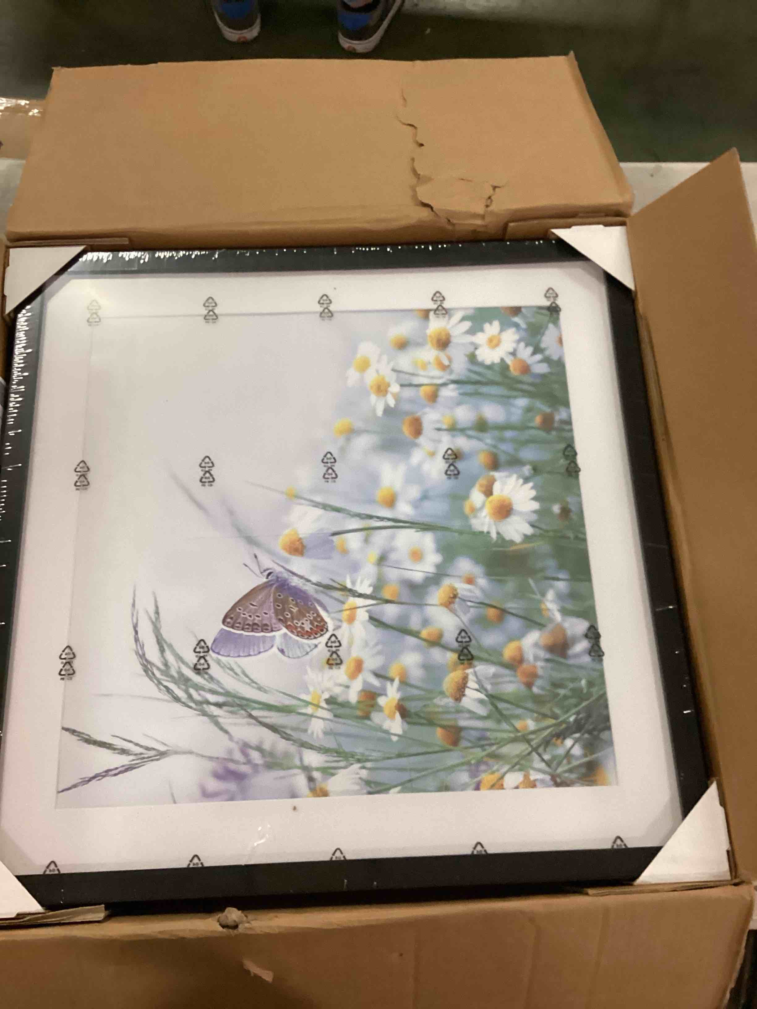 https://s3.amazonaws.com/lotting-images-prod/bidfta/GRN6345610_1712665570433.jpeg