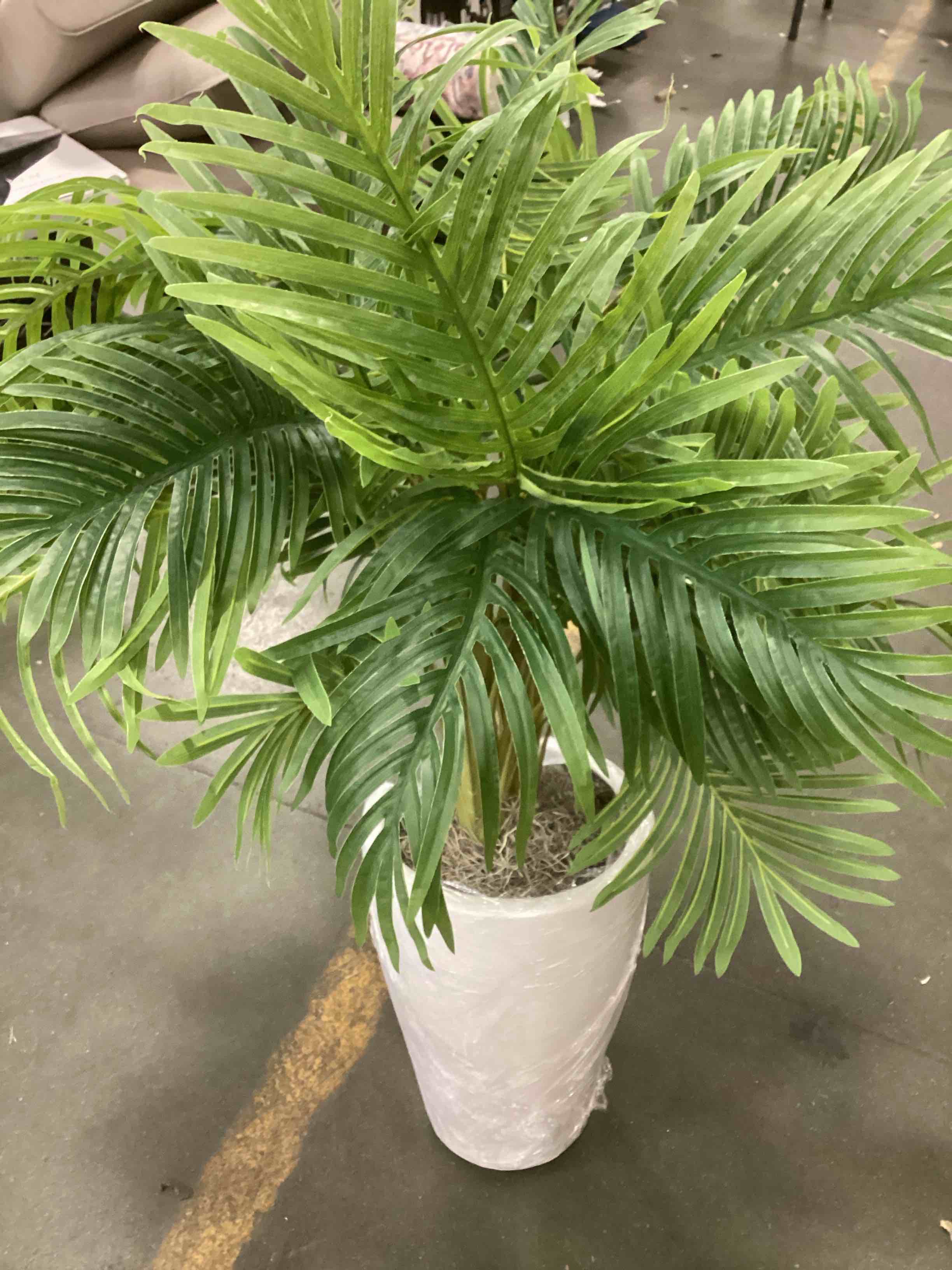 Member’s Mark Artificial palm