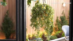 Garden Reflections 18" Cascading Indoor/Outdoor Hanging Basket