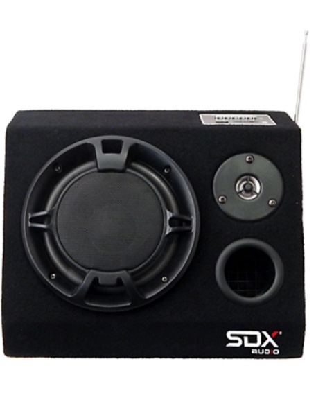 SDX Audio Bluetooth Active Speaker System & Digital Music Player