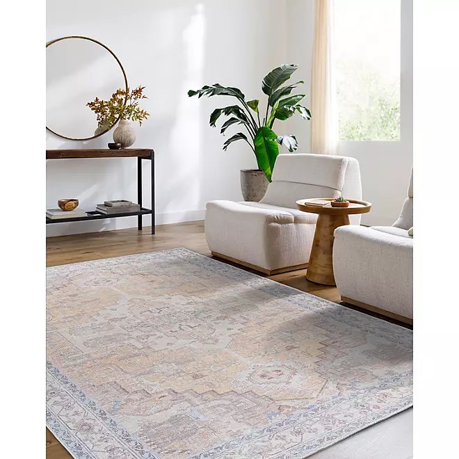 details by Becki Owens Amelie Area Rug