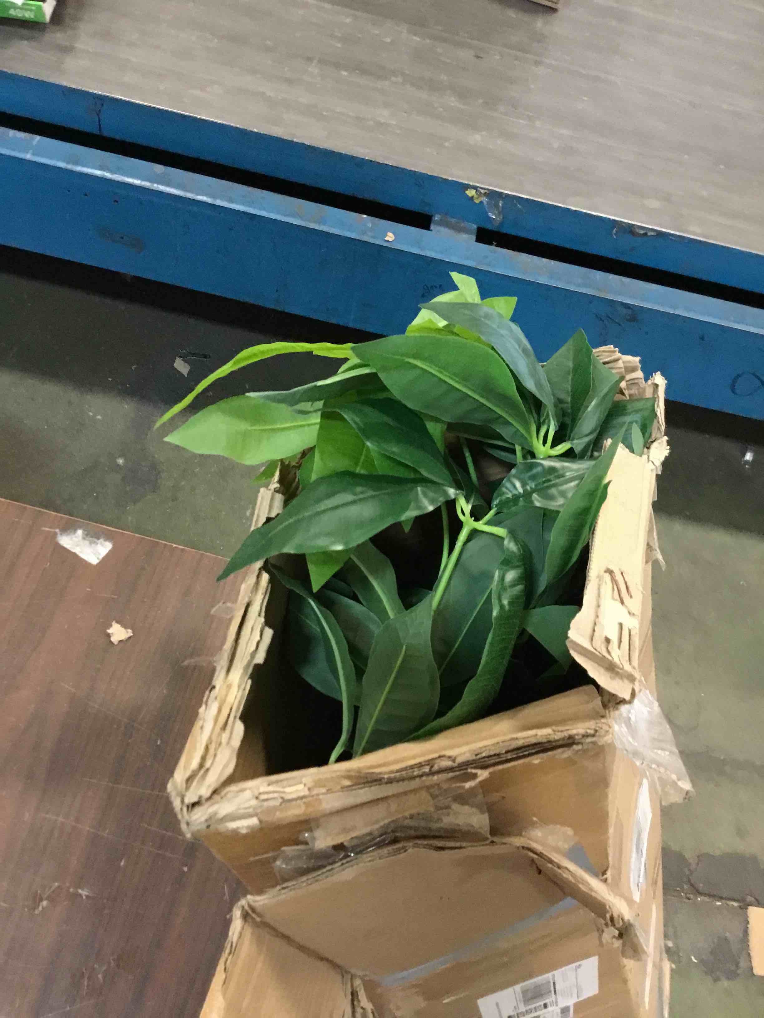 https://s3.amazonaws.com/lotting-images-prod/bidfta/GRN6440052_1716900417036.jpeg