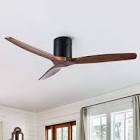 Ceiling Fan ( Reference image)