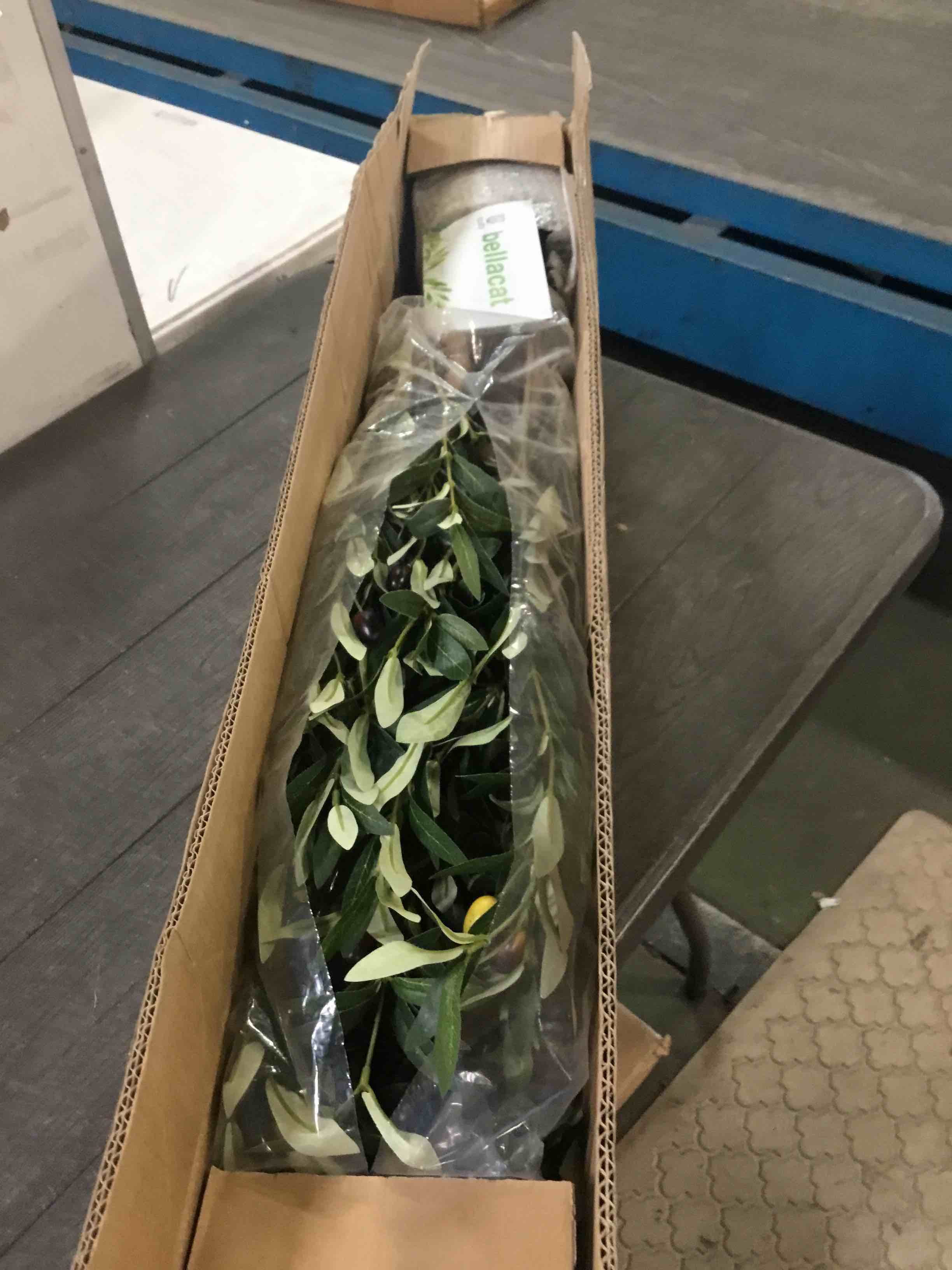 https://s3.amazonaws.com/lotting-images-prod/bidfta/GRN6448151_1716303132370.jpeg