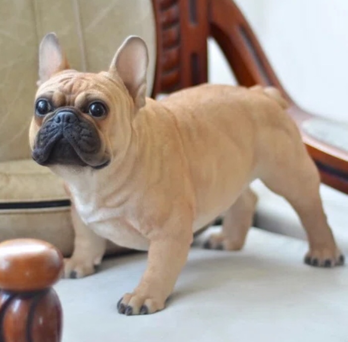 Dog French Bulldog Statue (chipped ear)