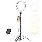 Ring Light with Stand and photo for TikTok Photography 