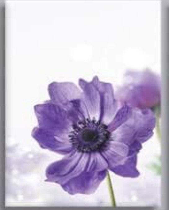 Canvas Art Wall Decor for Bedroom Purple Flower Bloom Close Up Pictures Prints on Canvas Wall Decoration for Bedroom Simple Life Modern Minimalism Artwork Framed Wall Art 3 Piece Canvas Wall Art 
