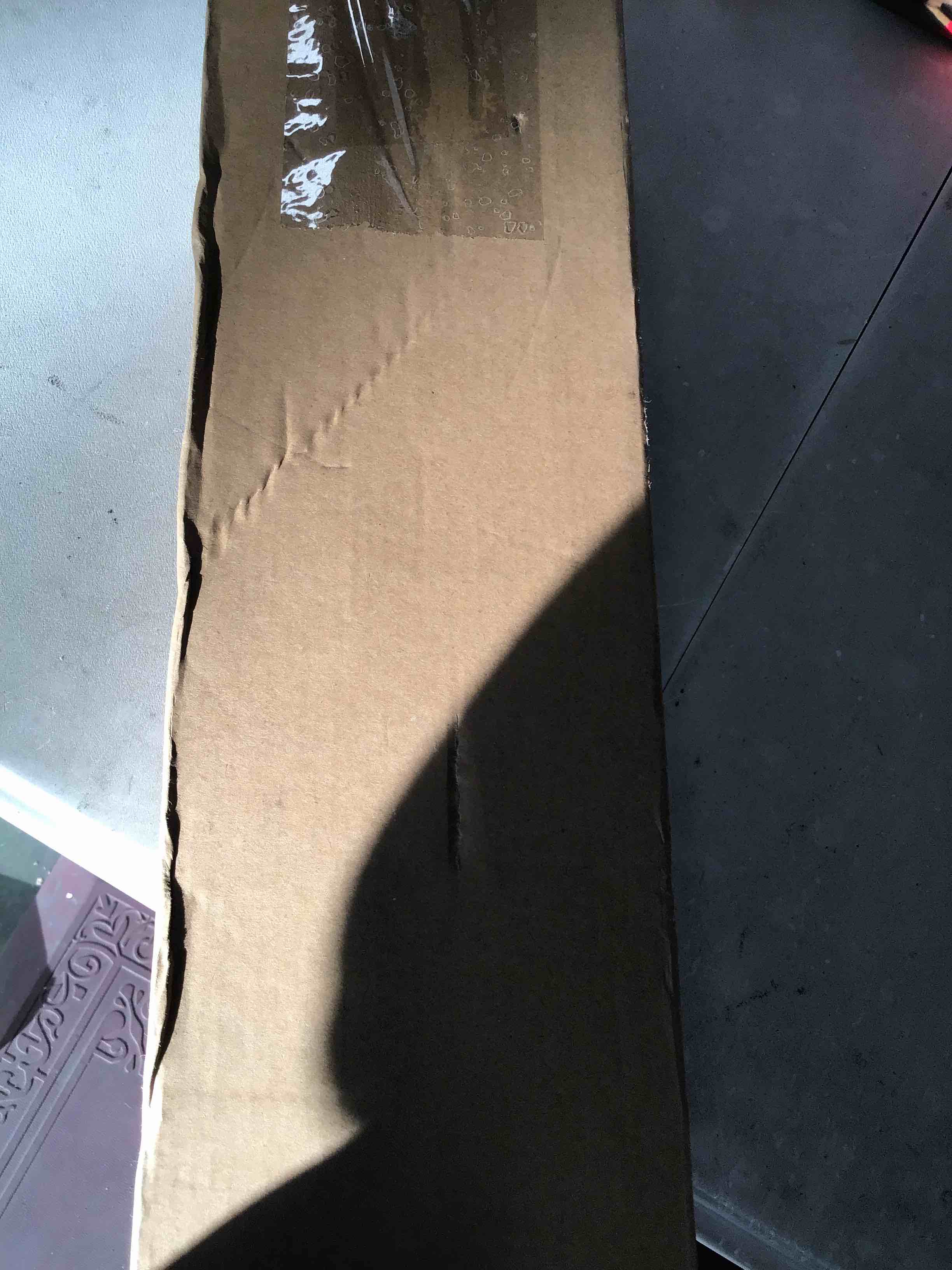 https://s3.amazonaws.com/lotting-images-prod/bidfta/GRN6593706_1715861262580.jpeg