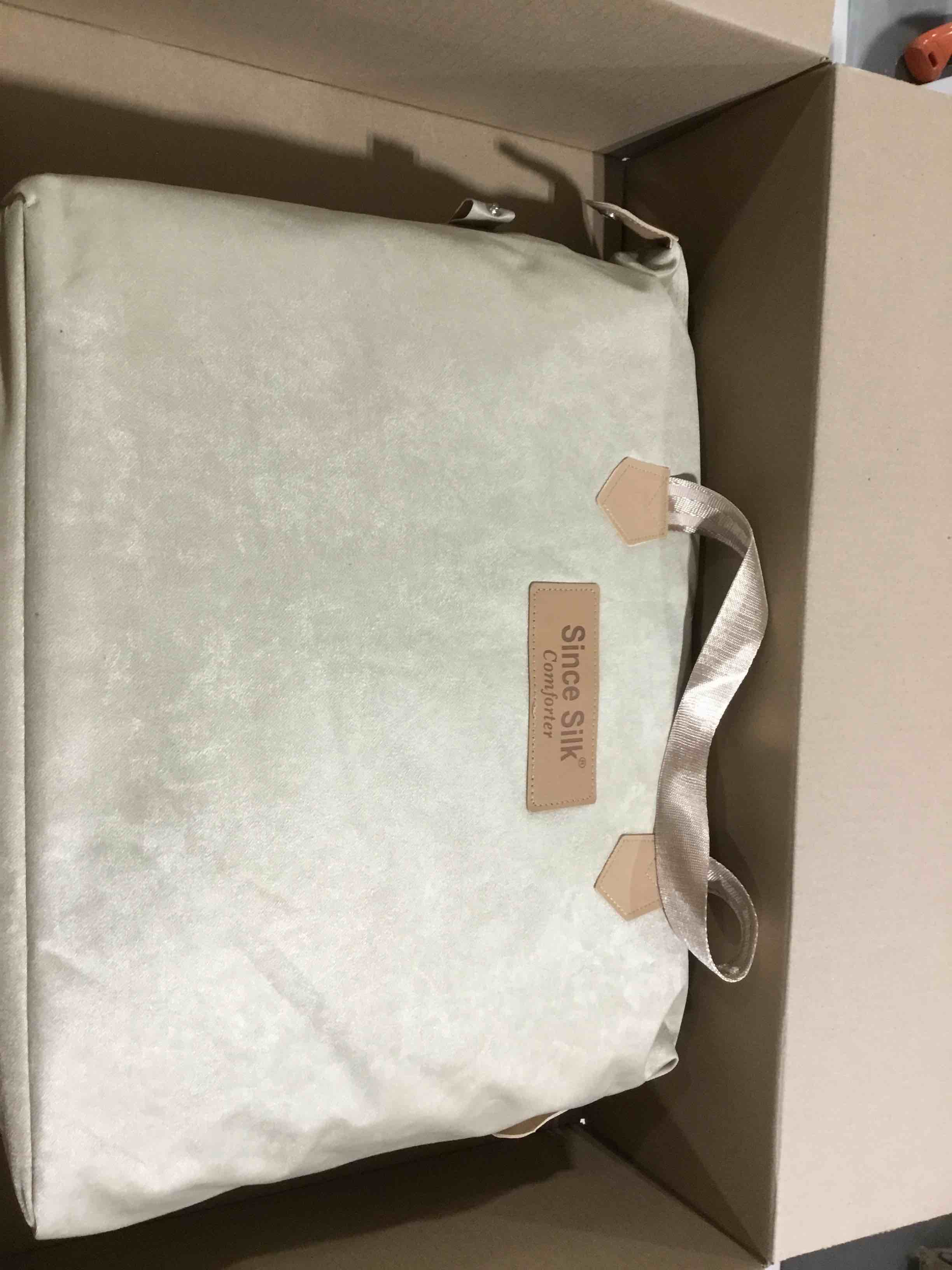 Since Silk AllSeason Silk Comforter, White Silk Duvet for Night Sweats