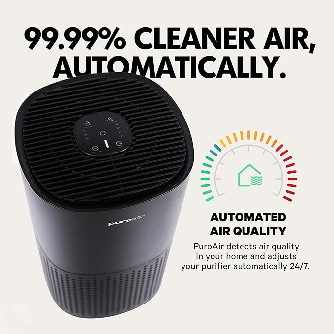 https://s3.amazonaws.com/lotting-images-prod/bidfta/GRN6645587_1727364257500.jpeg