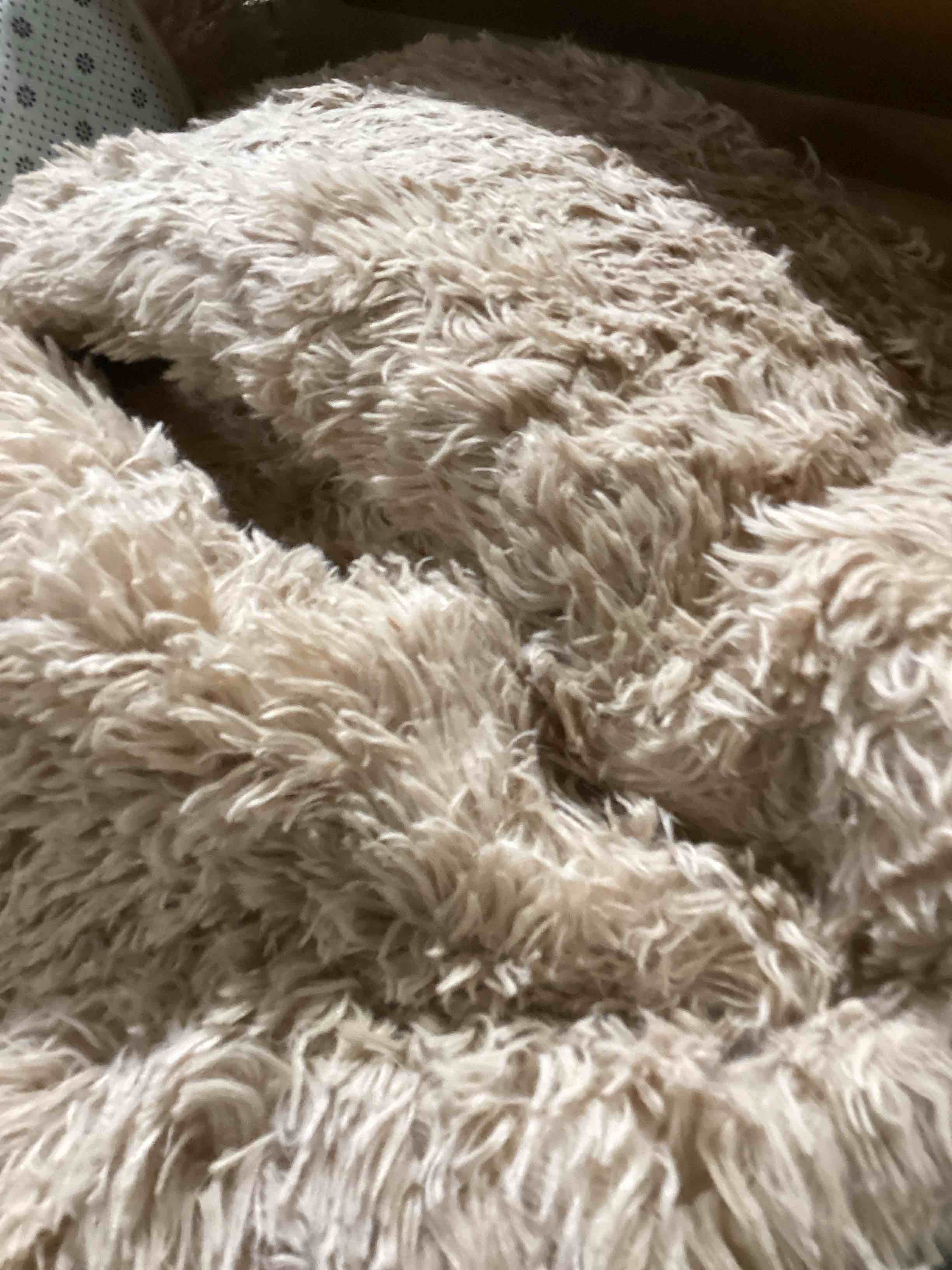 Litanika 4x6 Shag Area Rug for Living Room Bedroom, Tie-Dyed Beige Fluffy Shaggy Fuzzy Nursery Kids Girls Boys Room Rug, Cream Soft Plush Furry Bedside Carpet, Non-Slip, Non-Shedding Indoor Floor Rug