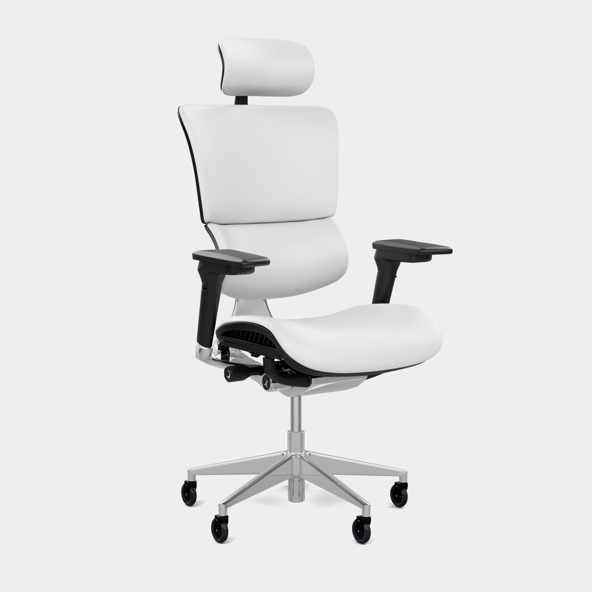 Leather Executive Office Chair, High Back Desk Chair with arms and wheels