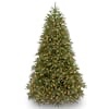 Jersey Fraser Fir Tree with Clear Lights