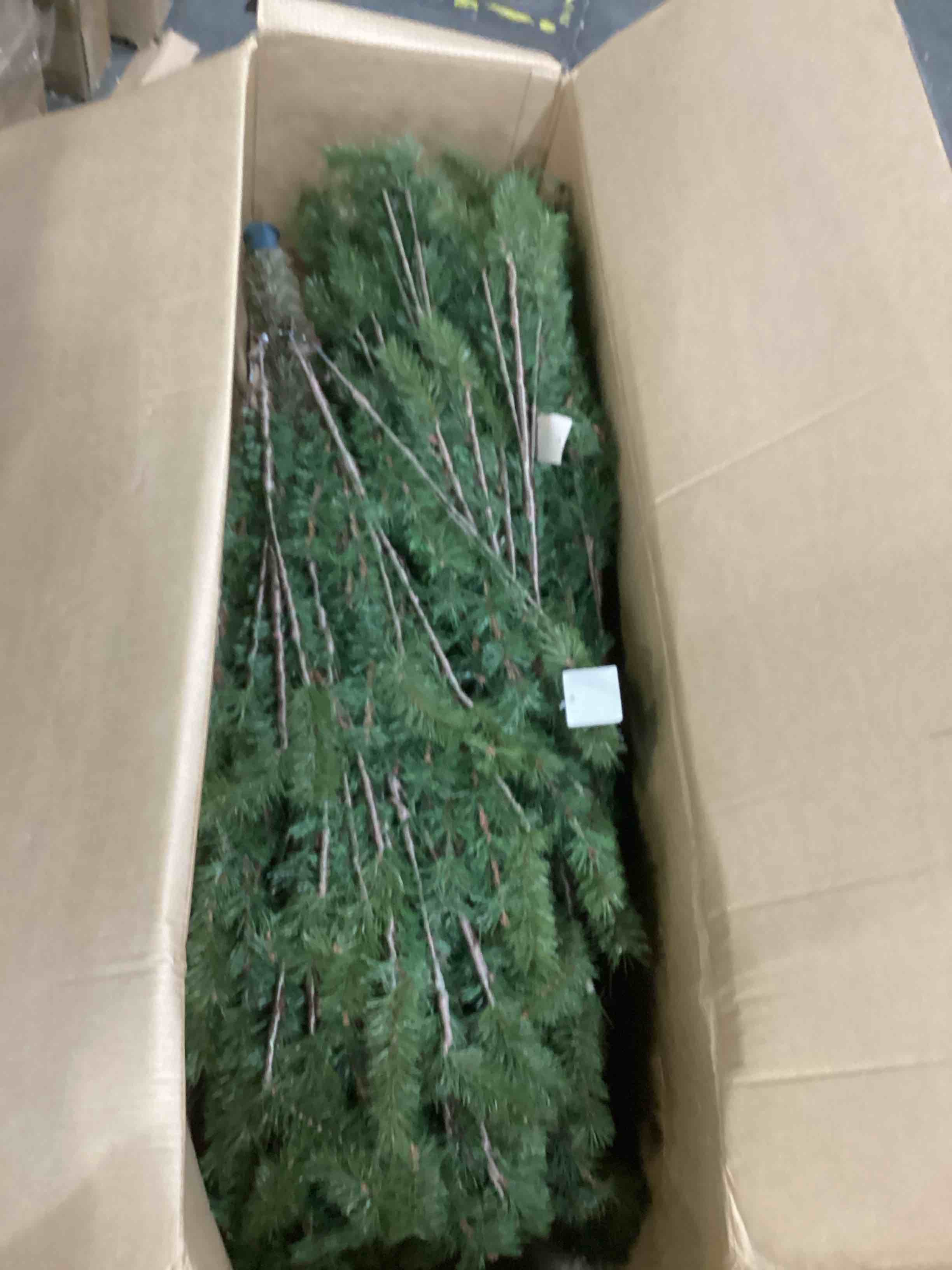 https://s3.amazonaws.com/lotting-images-prod/bidfta/GRN6662643_1733407801983.jpeg