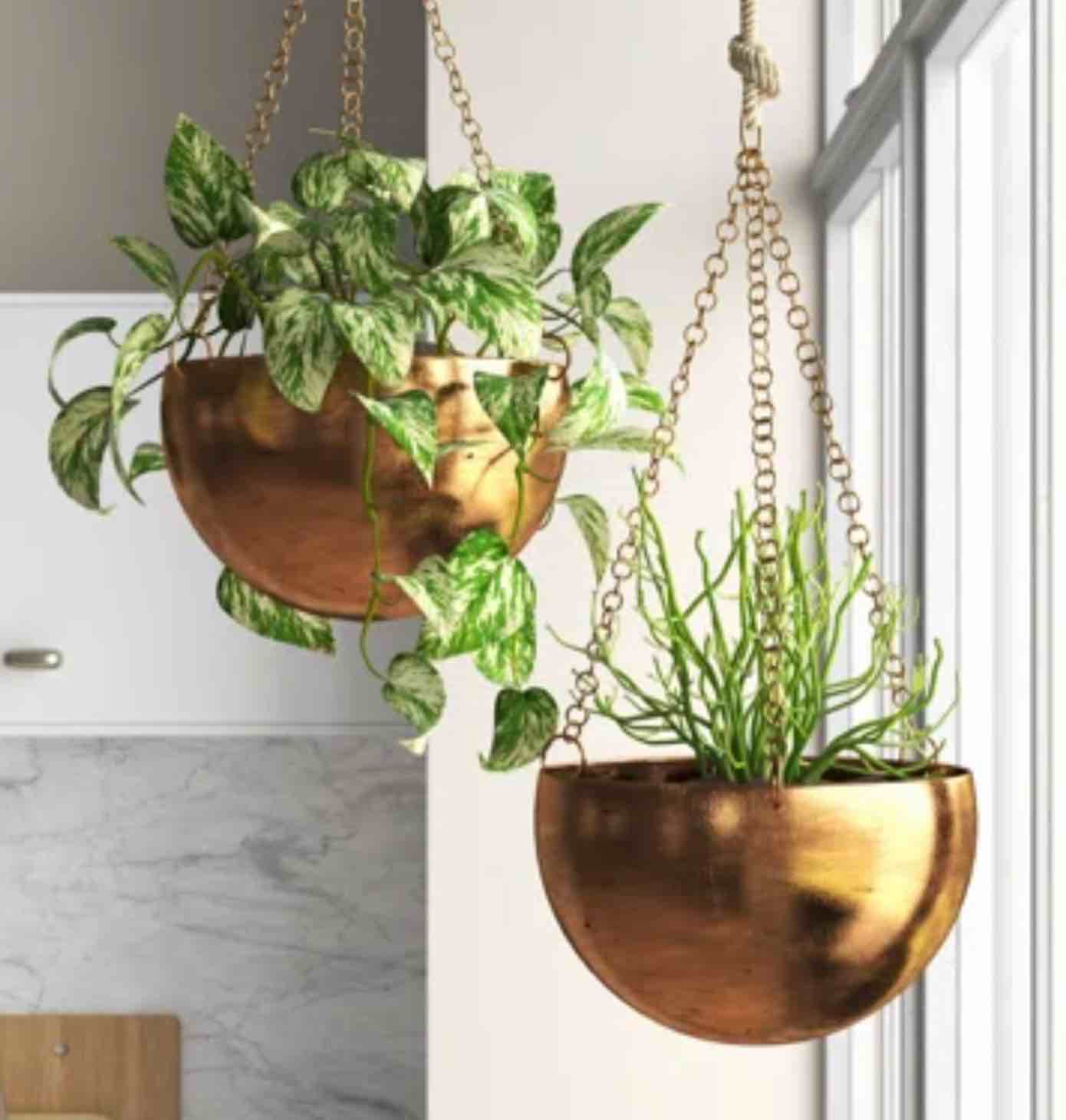 Metal Indoor Outdoor Hanging Dome Indoor Outdoor Wall Planter with Chain