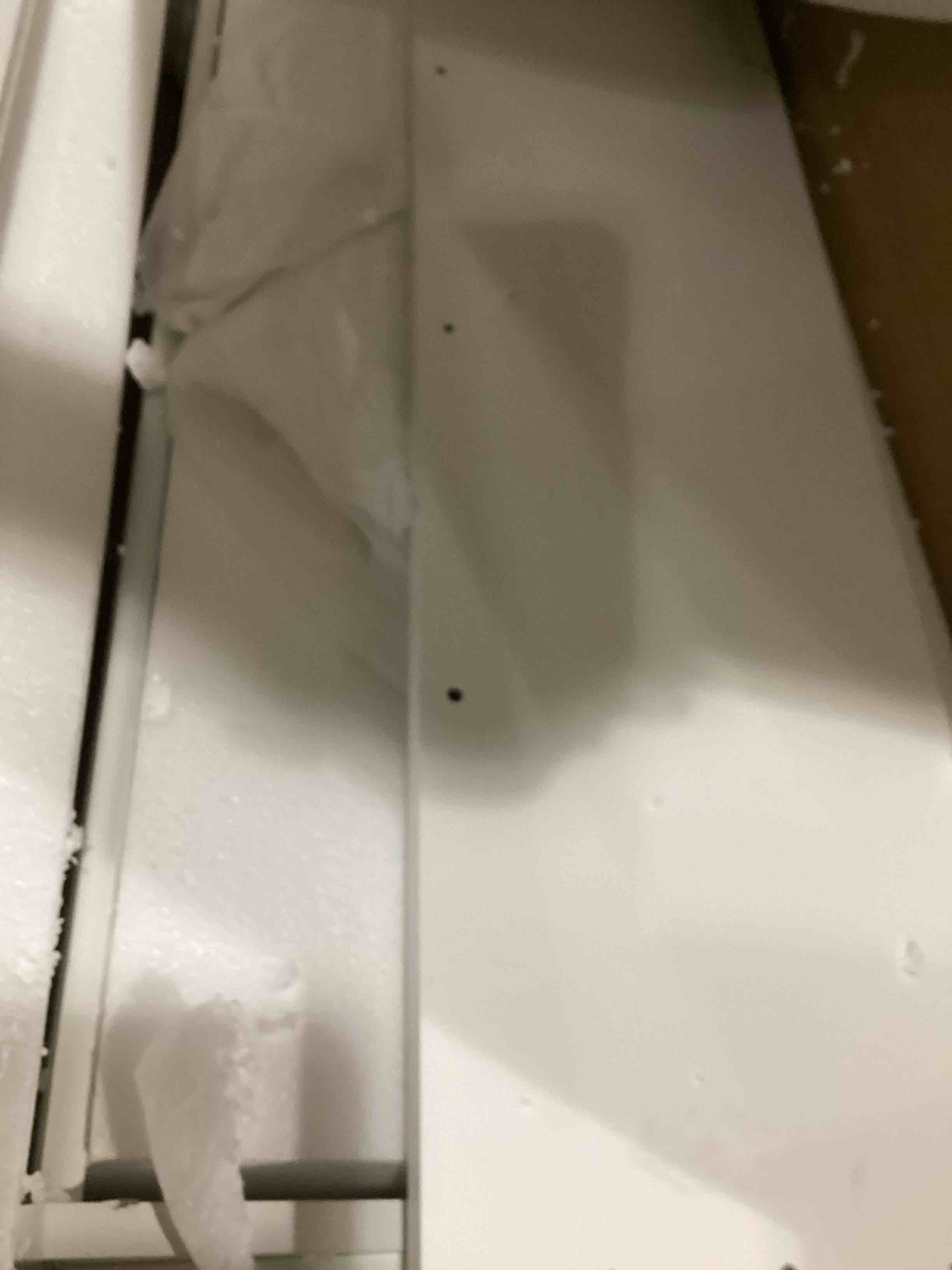 https://s3.amazonaws.com/lotting-images-prod/bidfta/GRN6667424_1736949336354.jpeg
