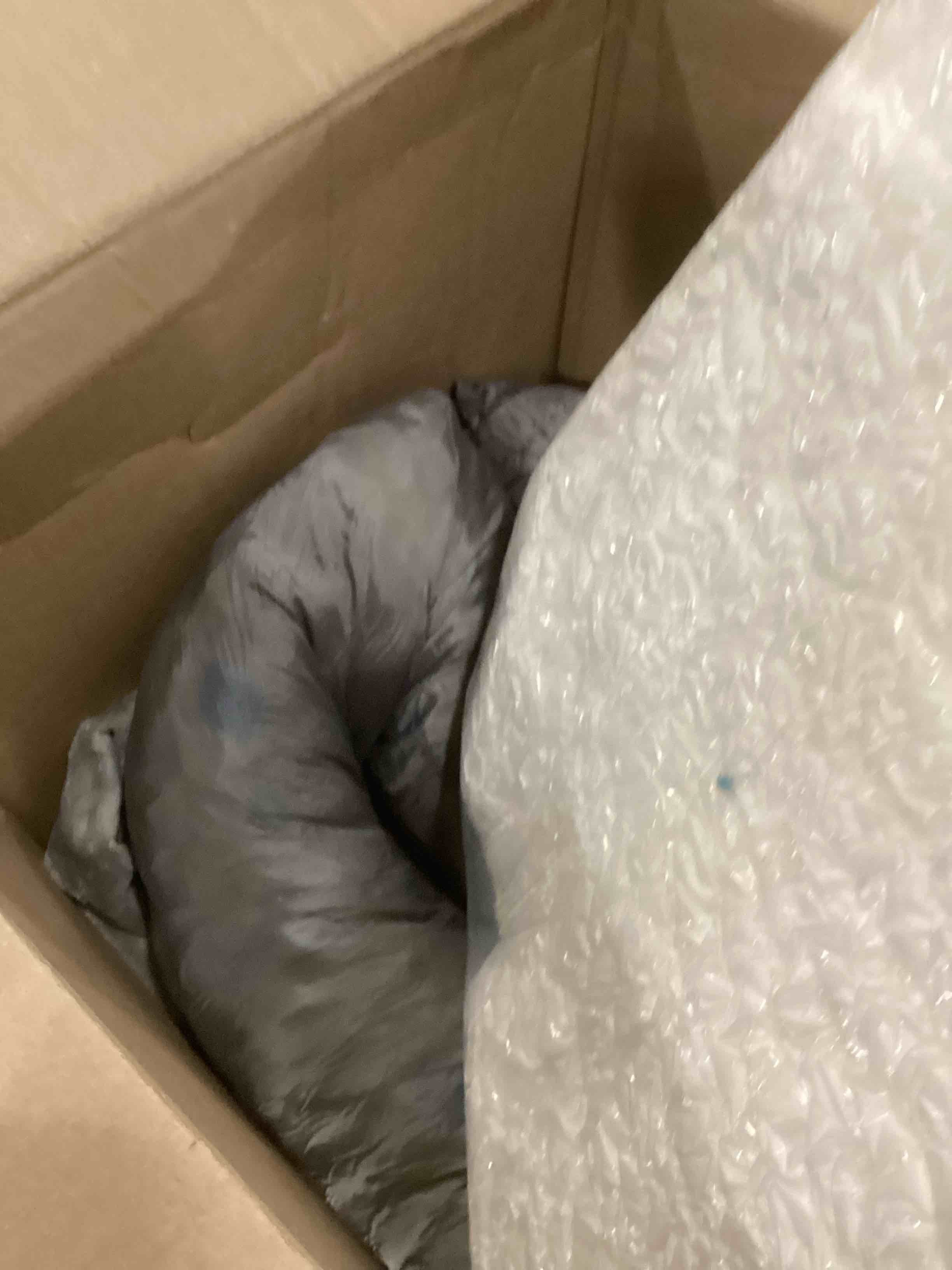 https://s3.amazonaws.com/lotting-images-prod/bidfta/GRN6706052_1737471317682.jpeg