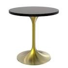 leisure mood  VB510B-BG brushed gold table open box