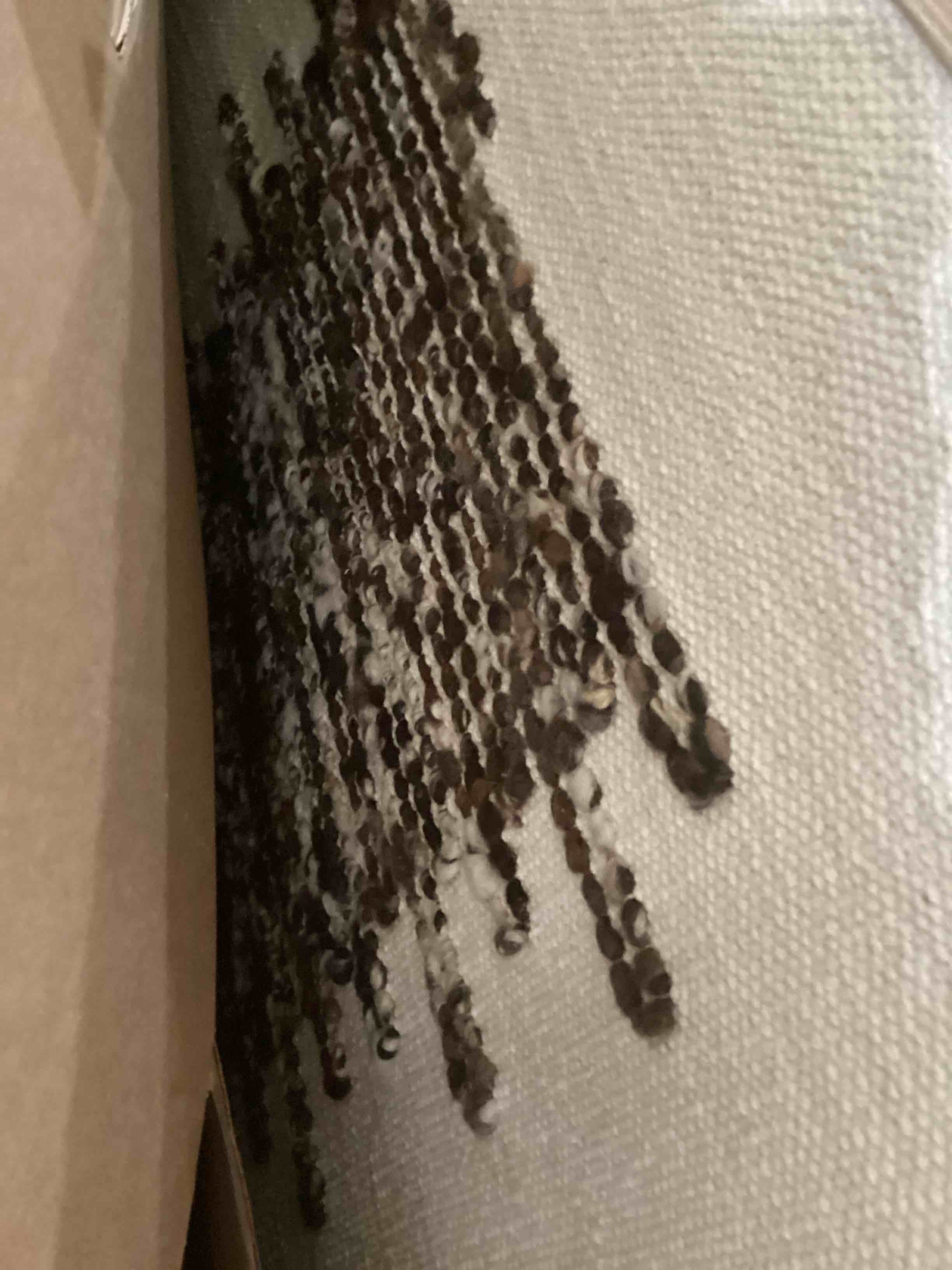 Amber Lewis x Loloi Getty Taupe / Ivory 3'2" x 3'6" Wall Art