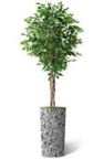 Tall Fake Plants Faux Ficus Tree in Neutral Pattern Planter Indoor And Outdoor Artificial Plants