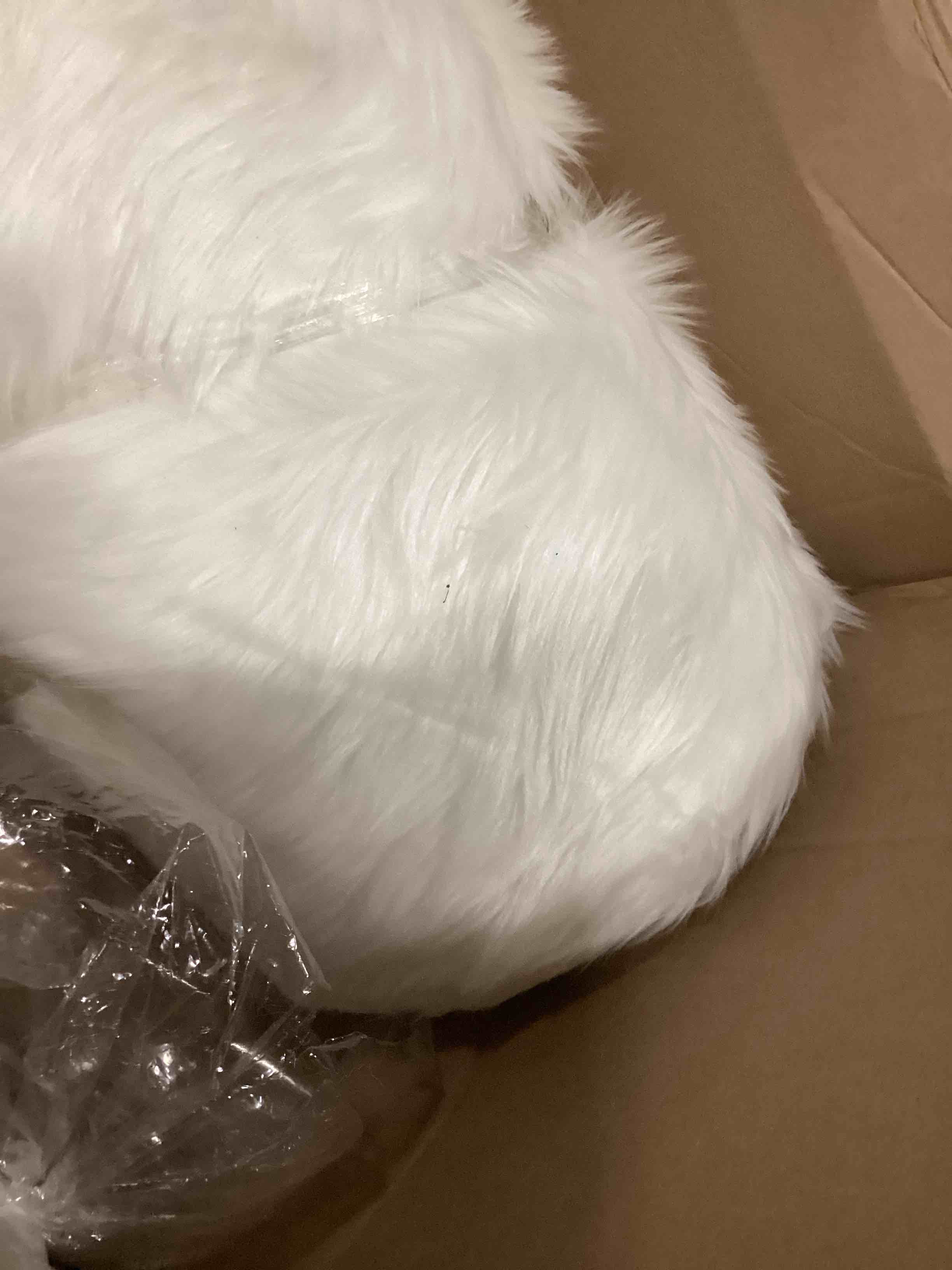https://s3.amazonaws.com/lotting-images-prod/bidfta/GRN6738427_1730137438299.jpeg