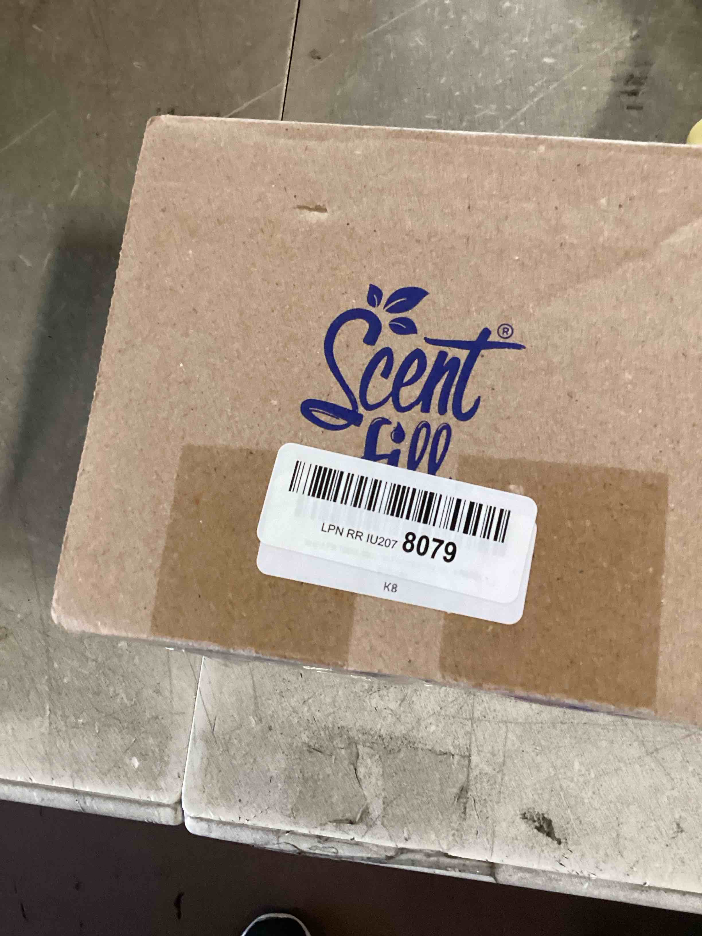 Scent Fill 100 Natural Fresh Peppermint Plug in Starter Kit, 3 Refills