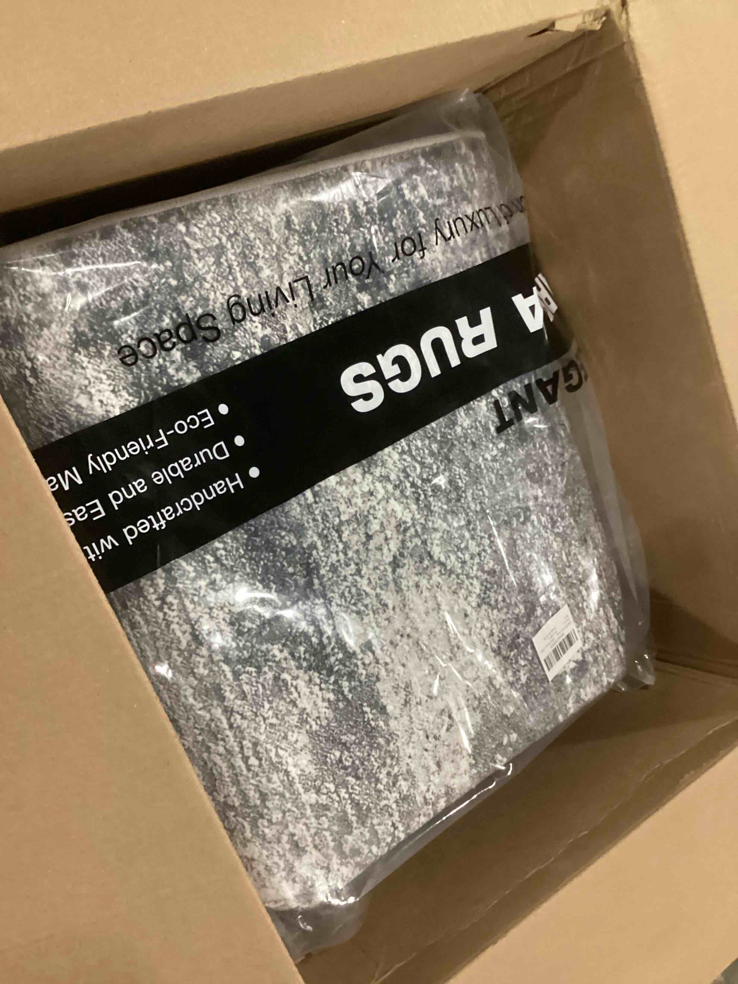 https://s3.amazonaws.com/lotting-images-prod/bidfta/GRN6791984_1738265172154.jpeg