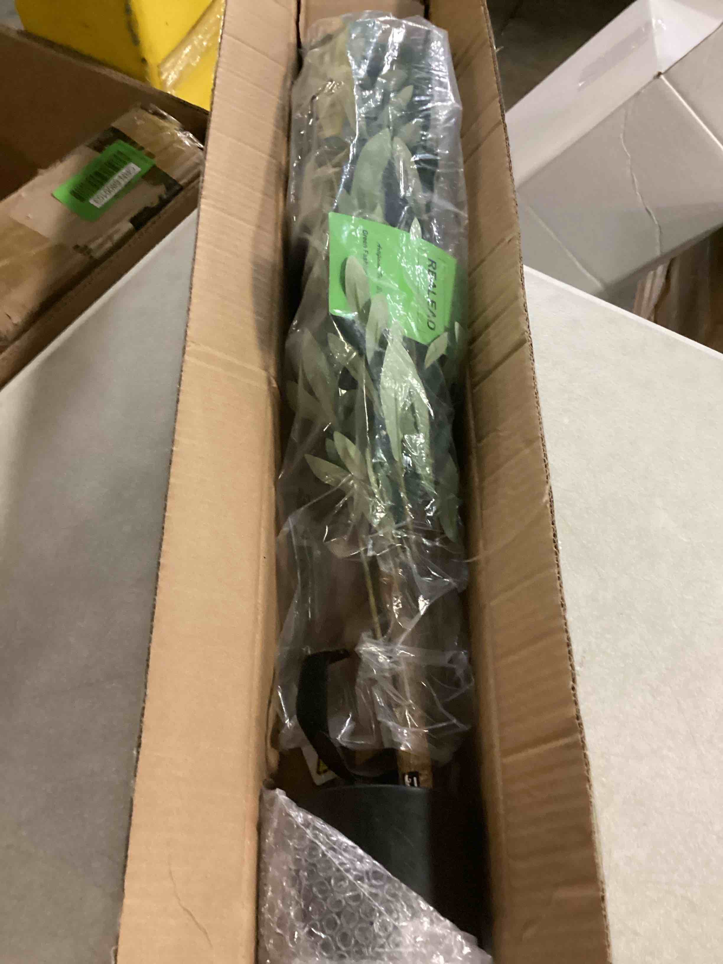 https://s3.amazonaws.com/lotting-images-prod/bidfta/GRN6800104_1729683575109.jpeg