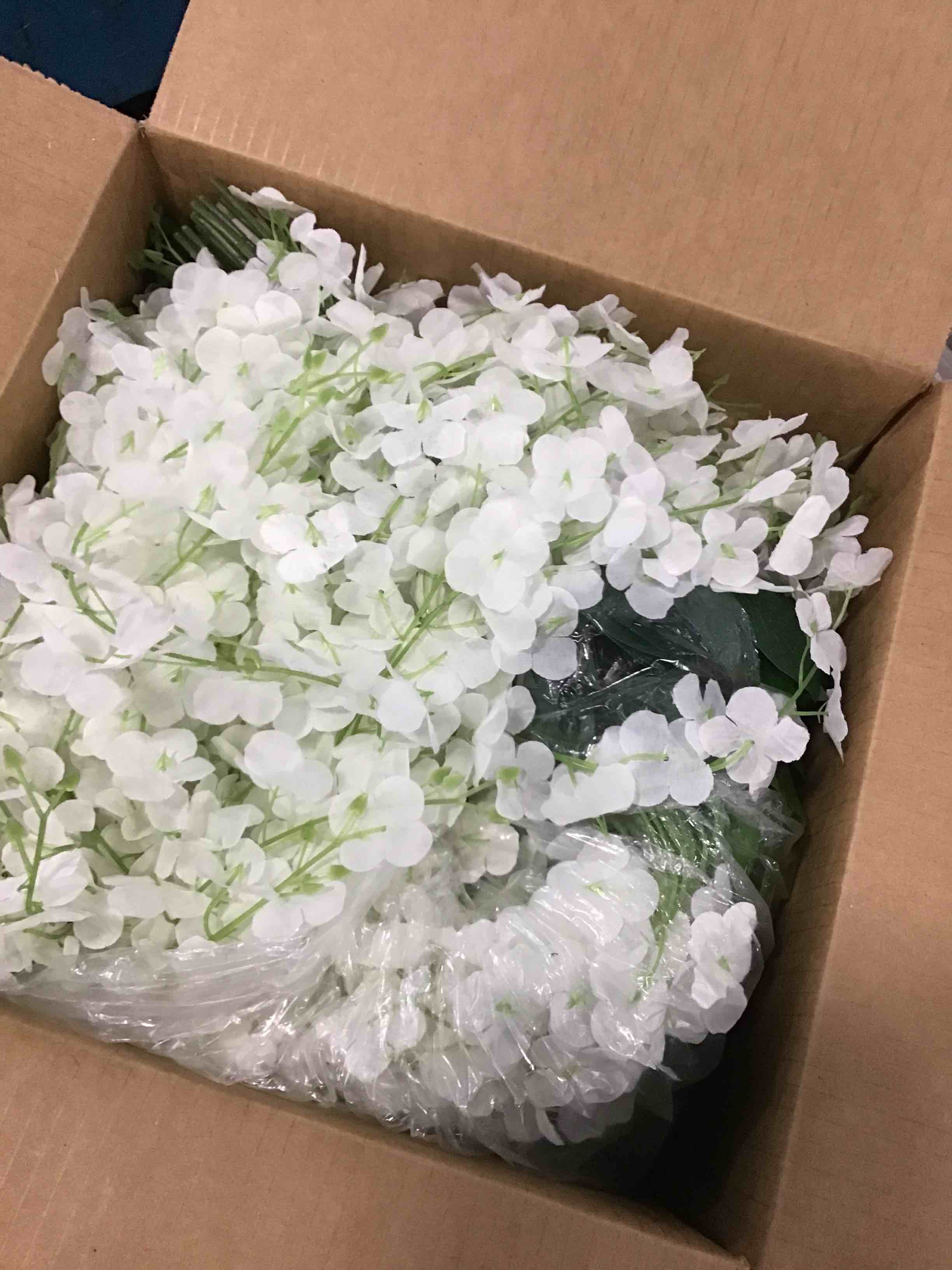 https://s3.amazonaws.com/lotting-images-prod/bidfta/GRN6813969_1720623303020.jpeg