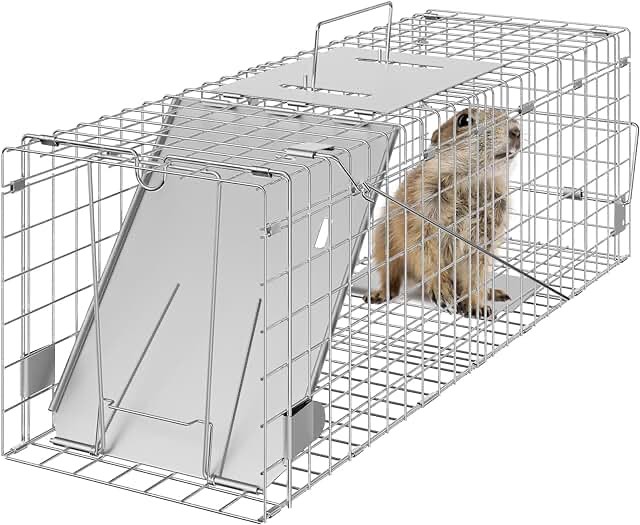 Live Animal Trap Cage, Foldable Heavy Duty Humane Rat Trap for Indoor and Outdoor, Large Metal Mouse Trap for Squirrel Gopher Chipmunk Mice Raccoon, Easy to Catch and Release 23"x7"x8"