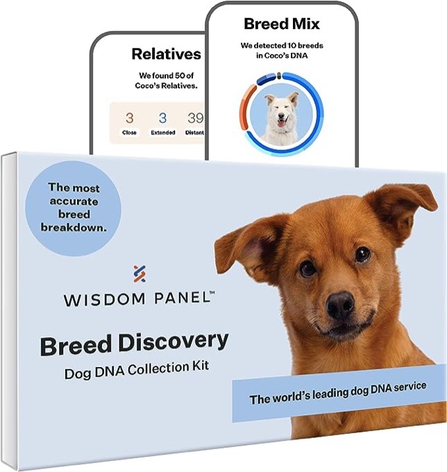 Wisdom Panel Dog Breed Discovery DNA Test Kit