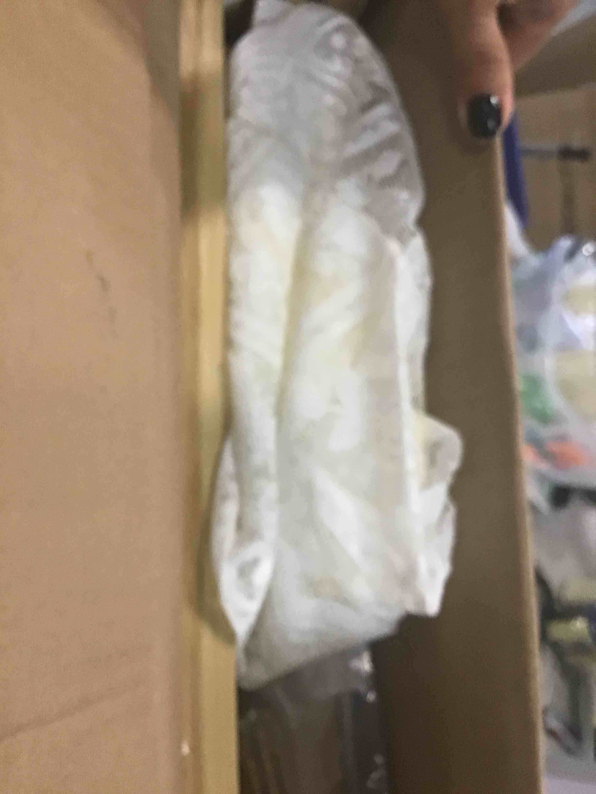 https://s3.amazonaws.com/lotting-images-prod/bidfta/GRN6827775_1720458967517.jpeg