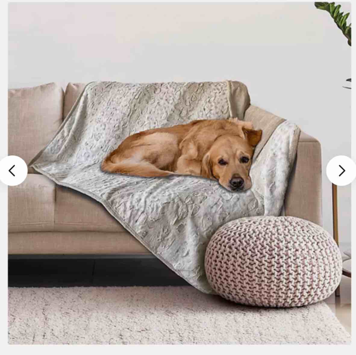 Doggy Decor Waterproof Pet Throw Blanket, 50" x 60"