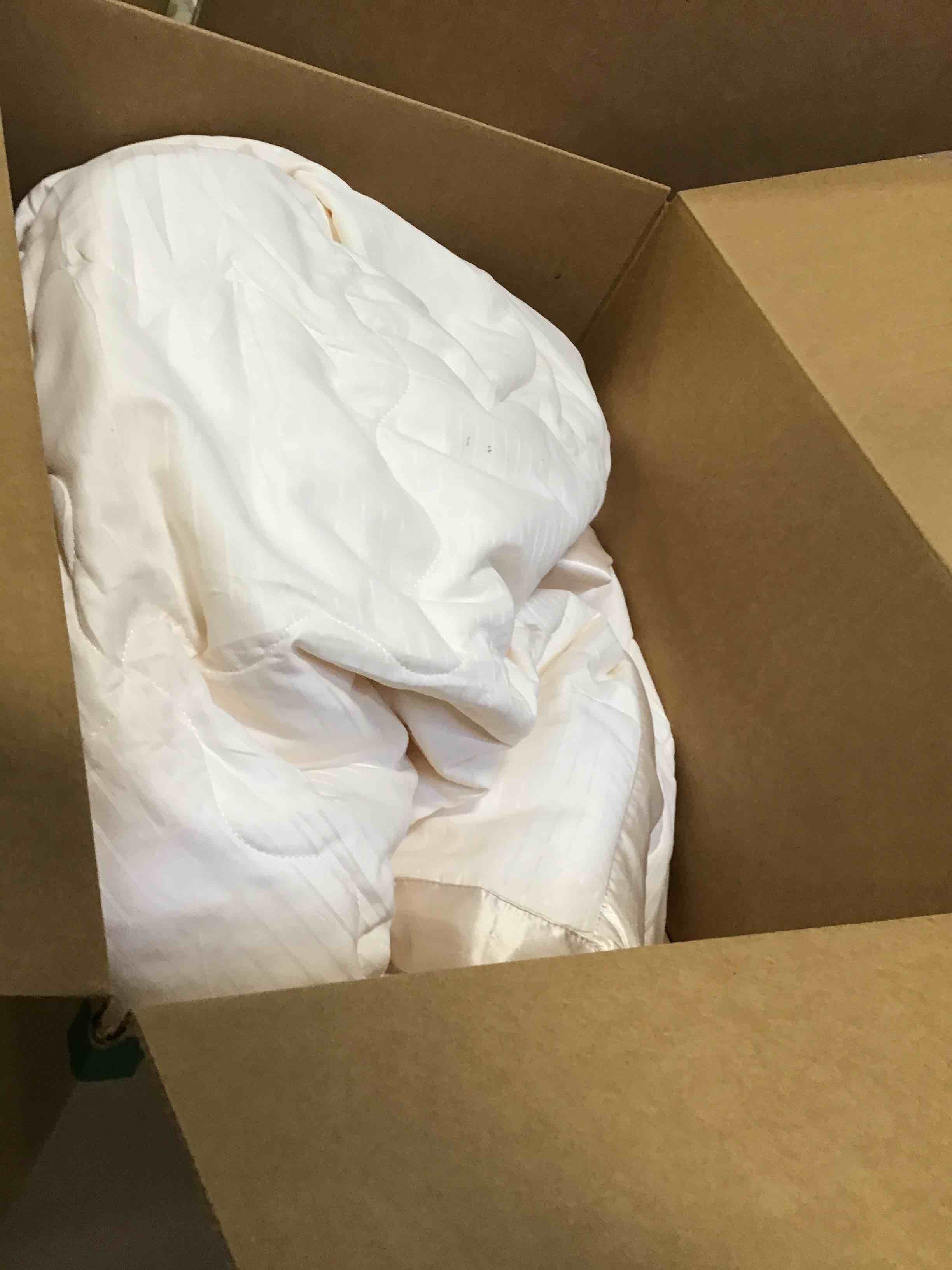 Bedsure Bed Blanket Twin/Twin XL Size Ivory Blanket, Lightweight Down