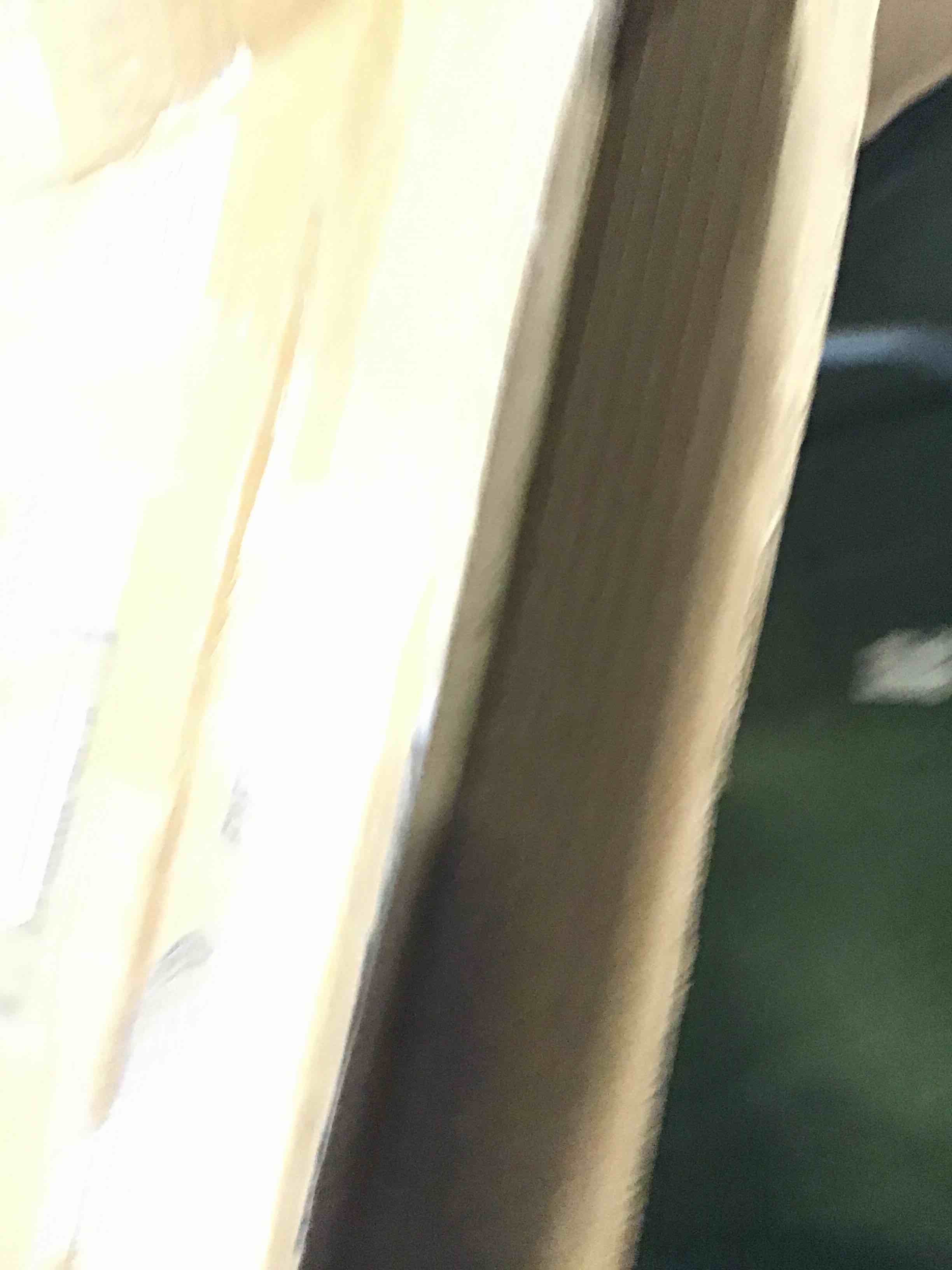 https://s3.amazonaws.com/lotting-images-prod/bidfta/GRN6865363_1722257716460.jpeg