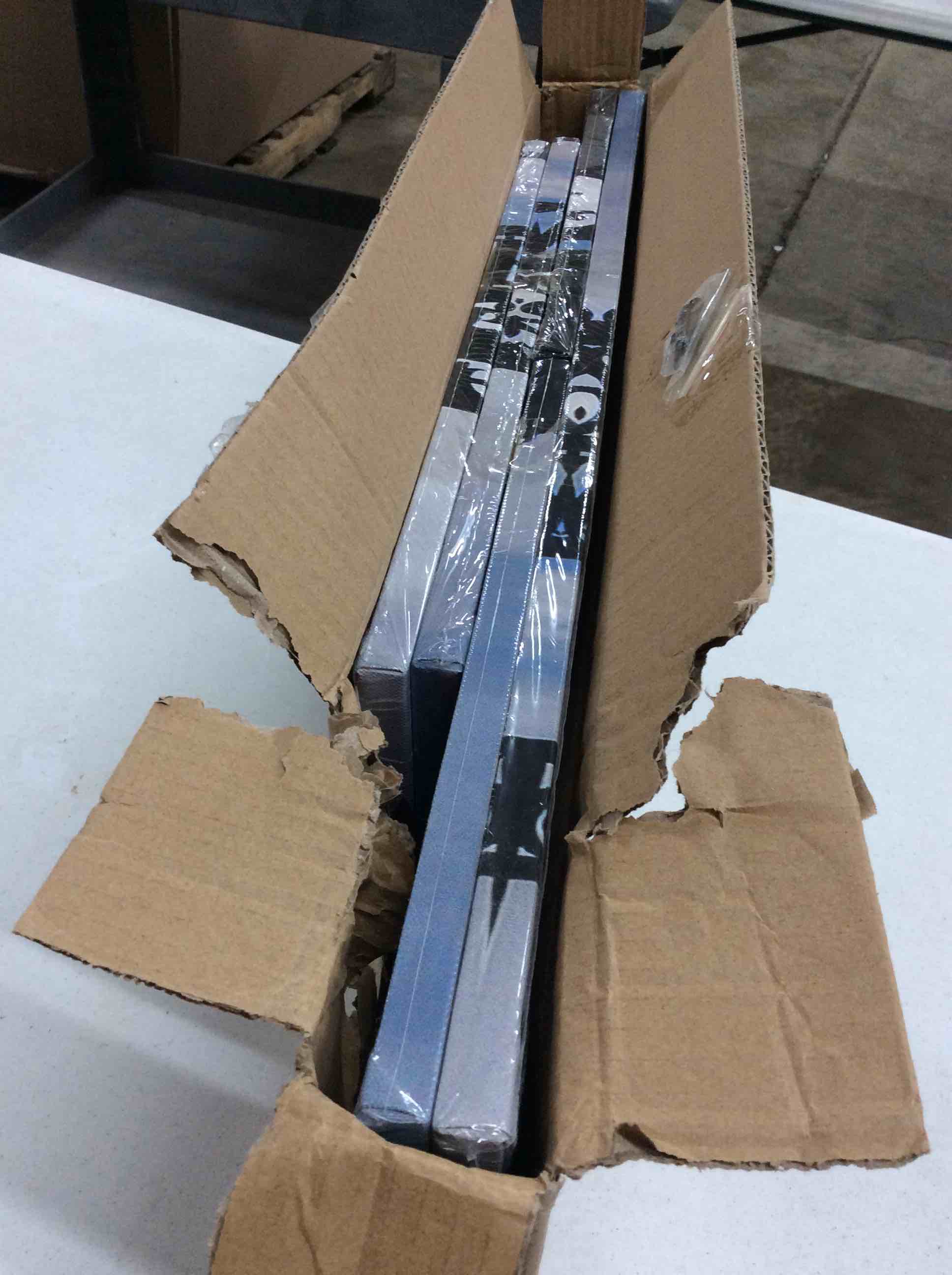https://s3.amazonaws.com/lotting-images-prod/bidfta/GRY0756905_1603898238921.jpeg