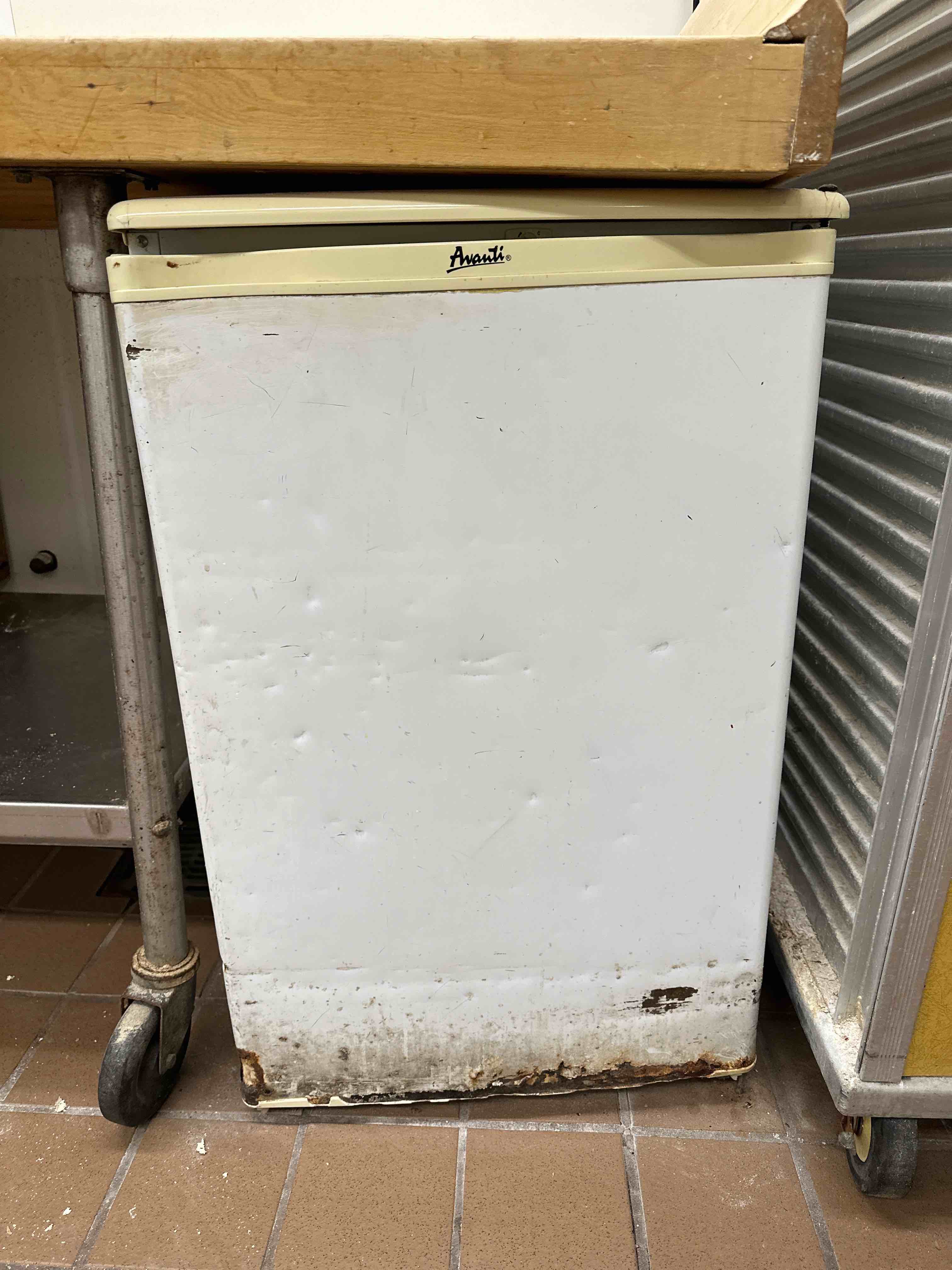 AVANTI MINI FREEZER