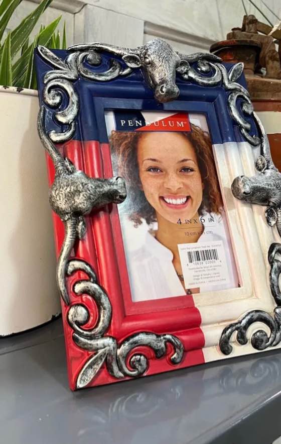 Pendulum USA Picture Frame Bull Theme Texas