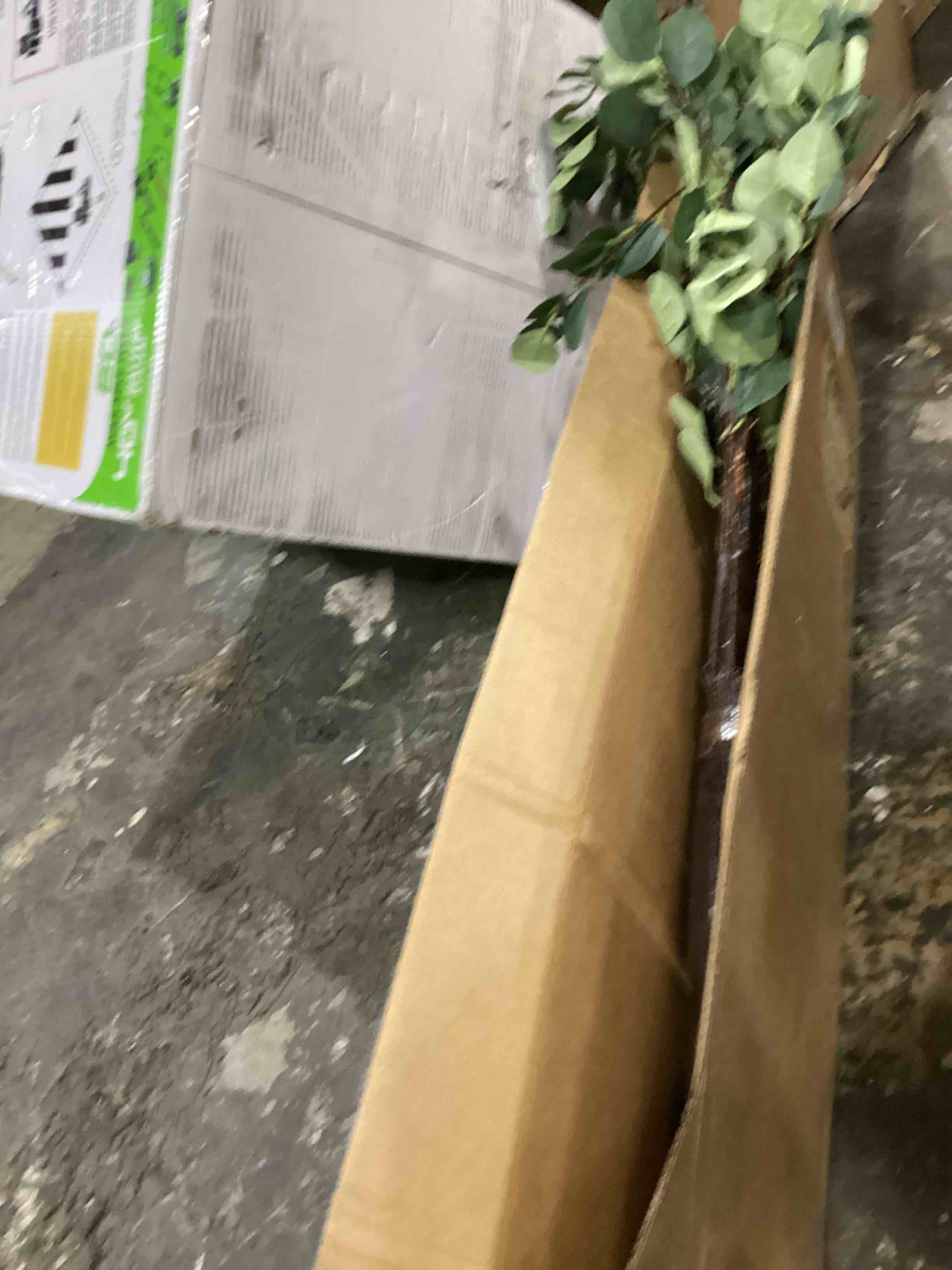 https://s3.amazonaws.com/lotting-images-prod/bidfta/ORG4011429_1706112351465.jpeg