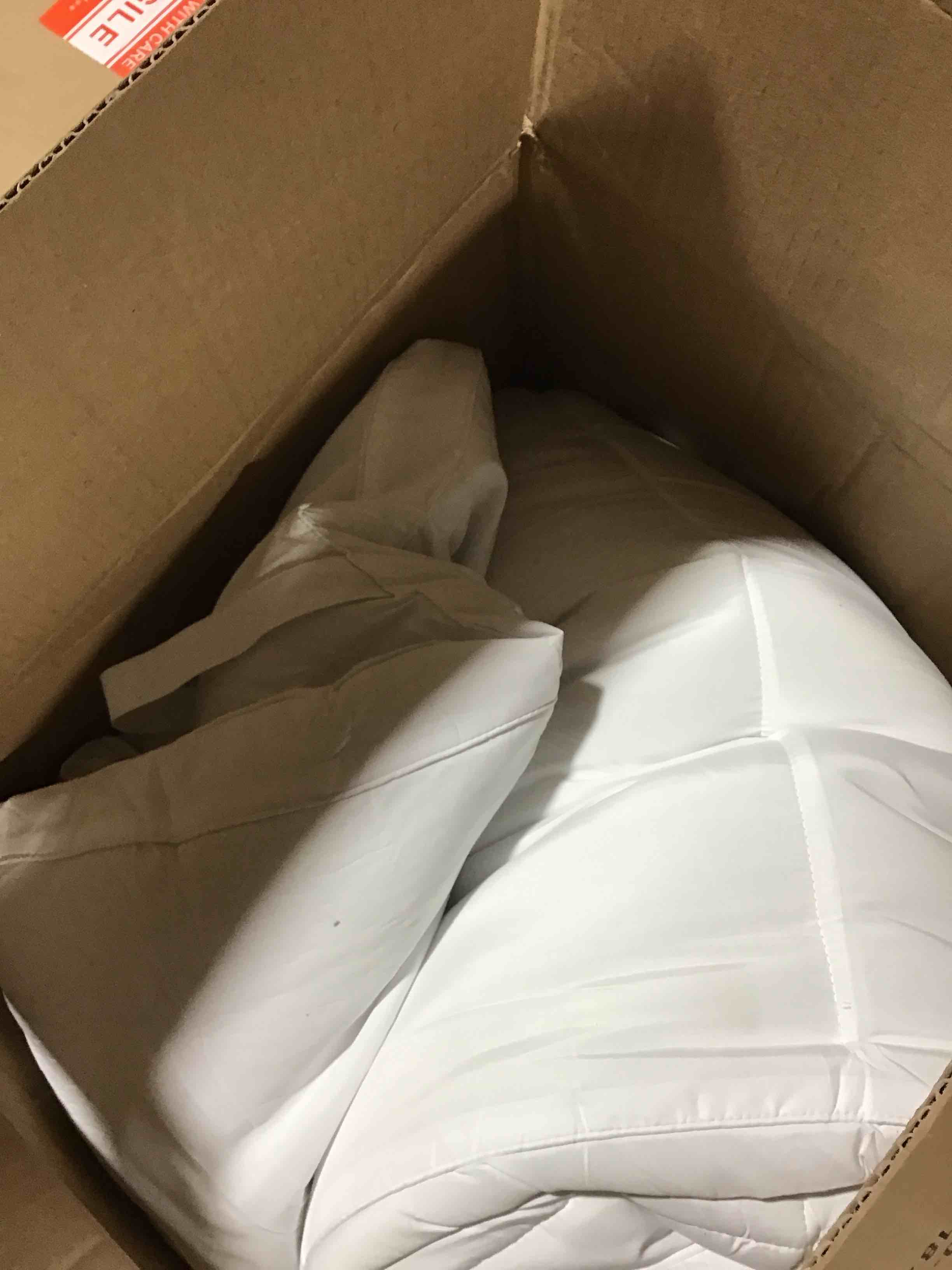 https://s3.amazonaws.com/lotting-images-prod/bidfta/ORG4089366_1712266006142.jpeg