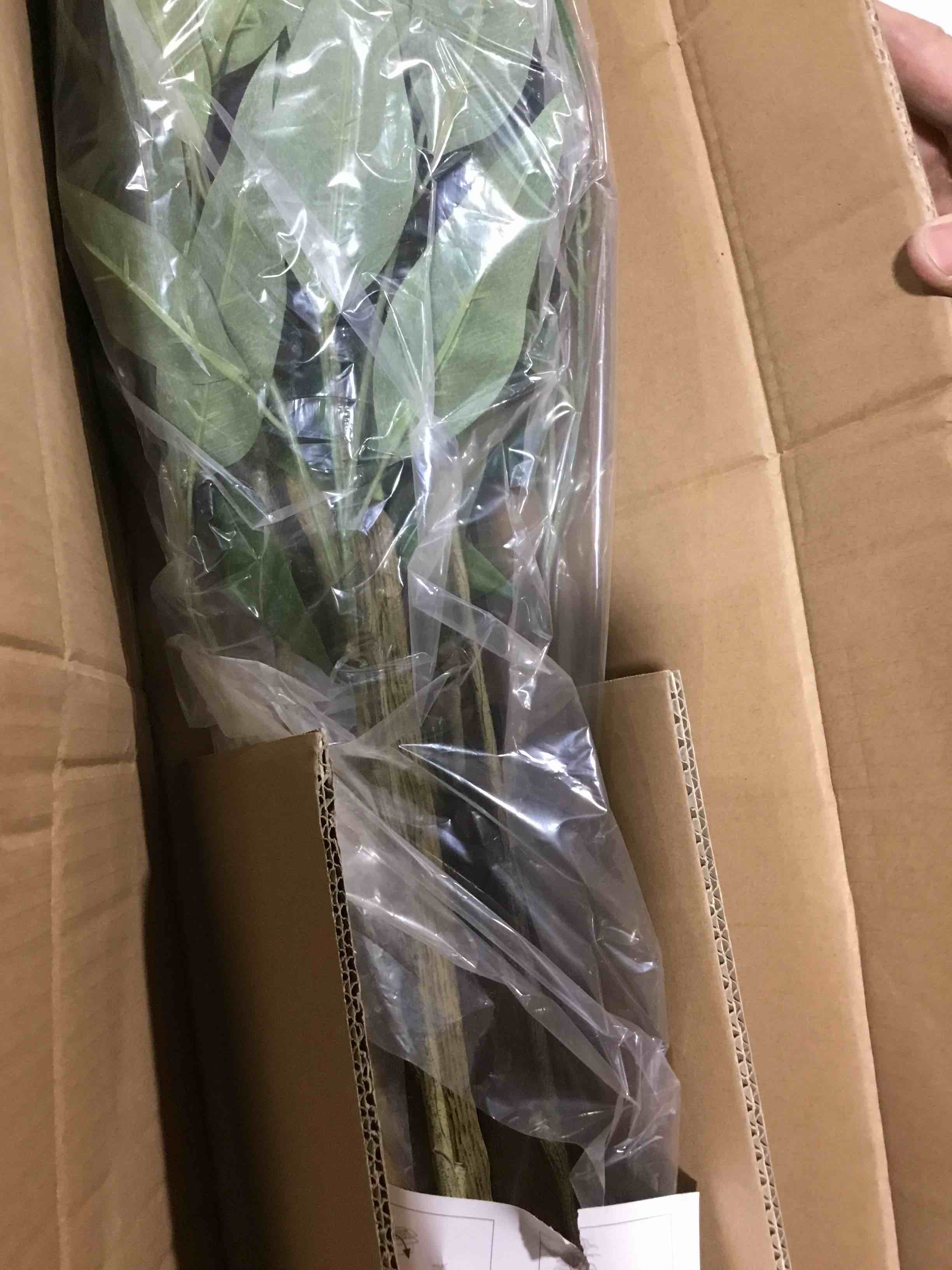 https://s3.amazonaws.com/lotting-images-prod/bidfta/ORG4092845_1706711326011.jpeg