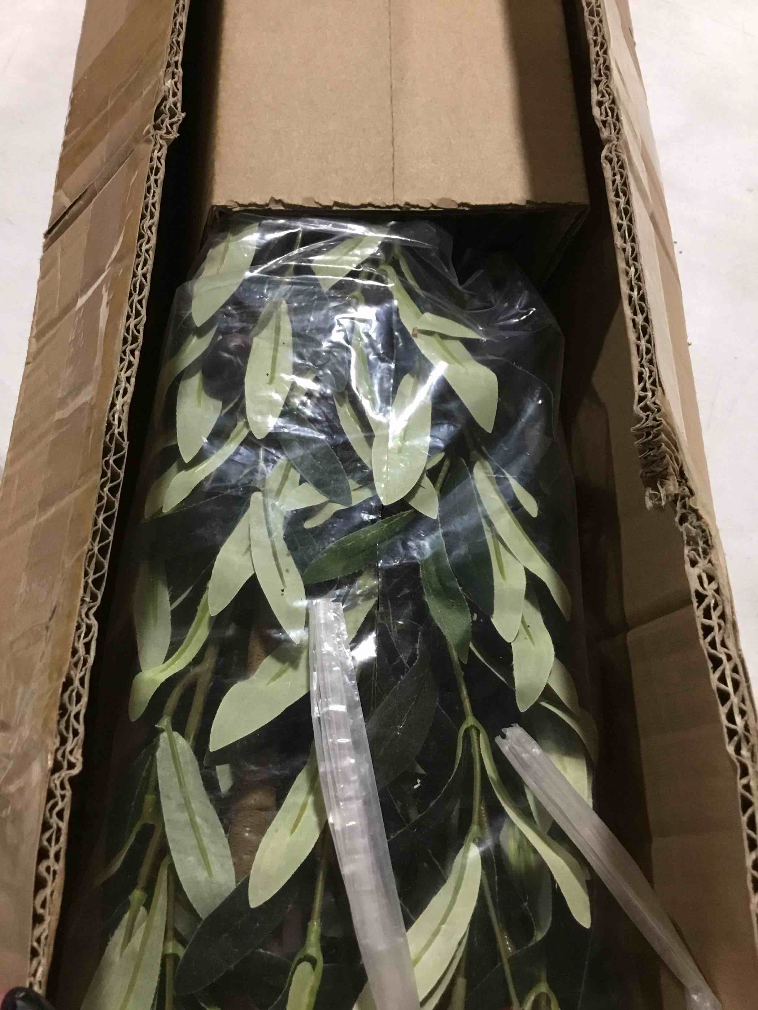 https://s3.amazonaws.com/lotting-images-prod/bidfta/ORG4157431_1709151613906.jpeg