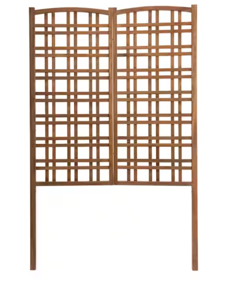 Large Outdoor Eucalyptus Privacy Trellis