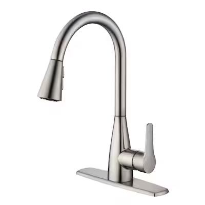 Project Source Project Source Ellesburg Stainless Steel Single Handle Pull-down Kitchen Faucet 