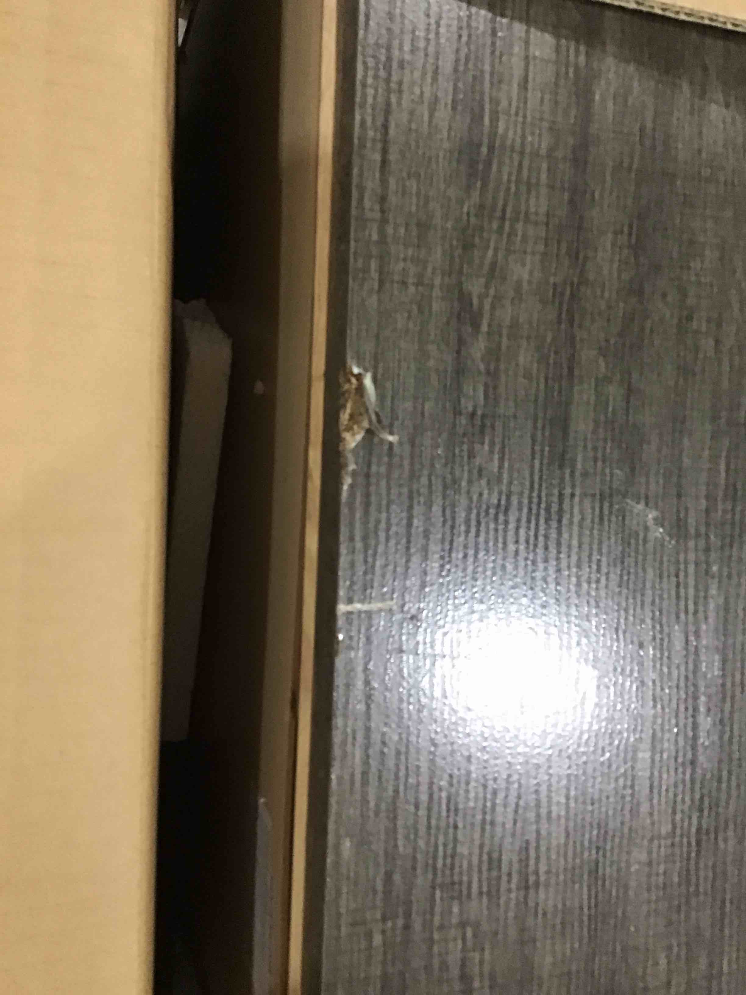 https://s3.amazonaws.com/lotting-images-prod/bidfta/ORG4497550_1713370061805.jpeg