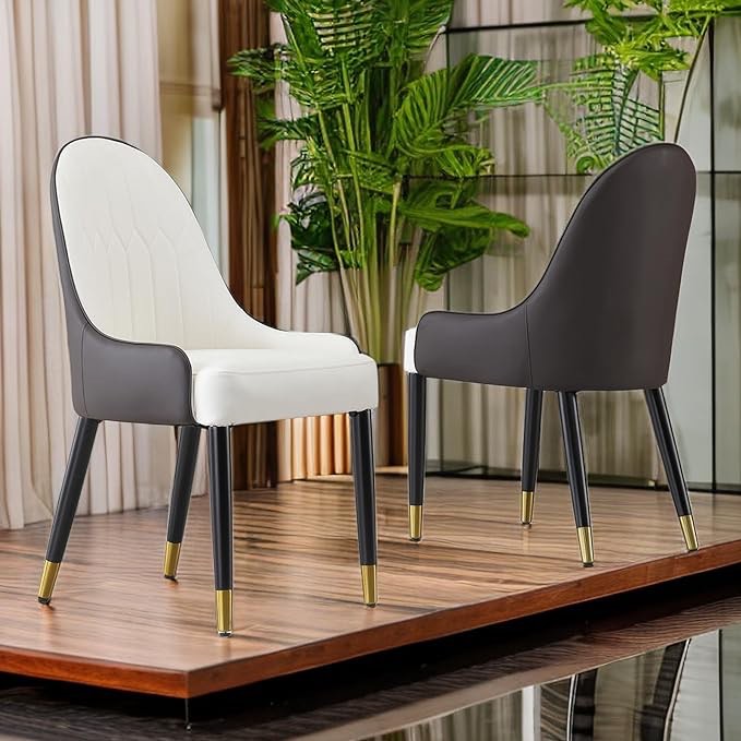 Montary 2 Piece Set Modern Kitchen Dining Chairs PU Leather Middle Century Dinner Chairs for Kitchen, Dining, Bedroom, Living Room
